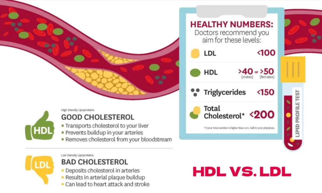 HDL VS LDL