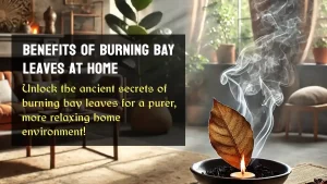 Burning Bay Leaves