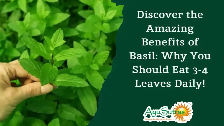 Basil Plant Benefits